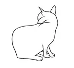 Cat_Line_Drawing.jpg