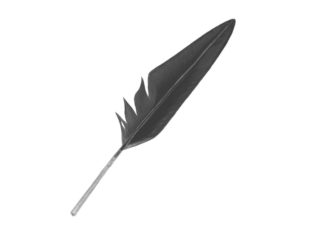 May 19, 2013 - Found this little crow feather on the beach this morning.