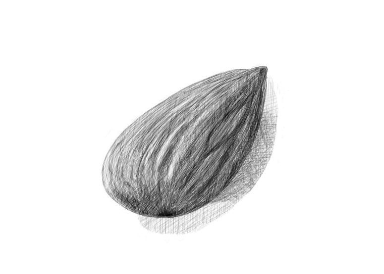 April 16, 2013 - An almond drawing that looks much better at a distance.