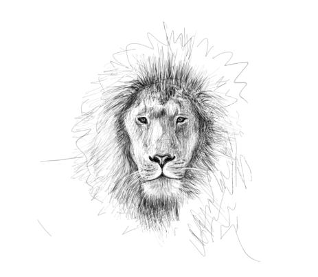 June 11, 2013 - A quick lion head sketch. It's amazing the things you learn when you draw something.