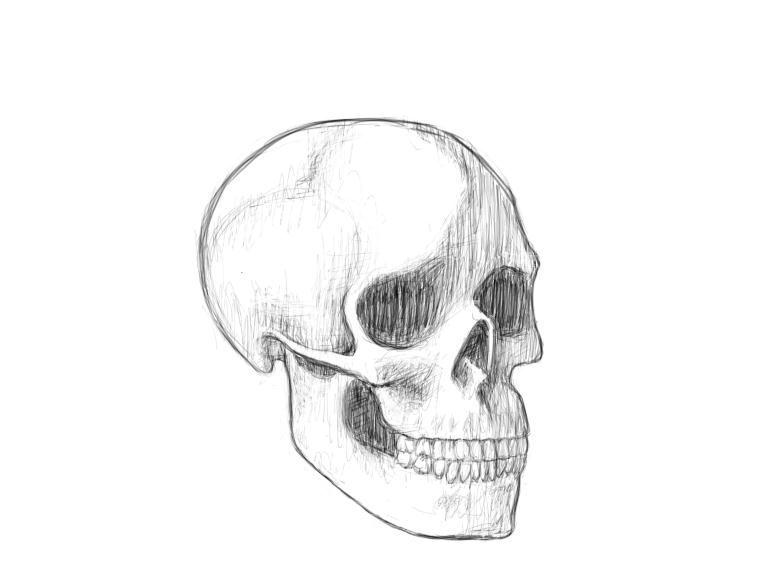 June 8, 2013 - A skull sketch, hopefully the first of many if one wants to improve their ability to draw faces.